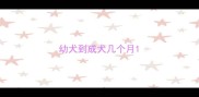 幼犬到成犬几个月