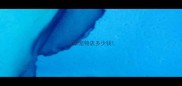 开家宠物店多少钱