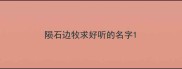 陨石边牧求好听的名字