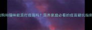 狗狗和猫咪能混打疫苗吗混养家庭必看的疫苗避坑指南