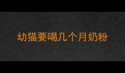 幼猫要喝几个月奶粉