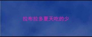 拉布拉多夏天吃的少