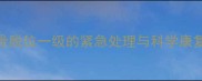 泰迪髌骨脱位一级的紧急处理与科学康复全指南