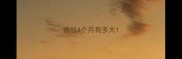 德牧4个月有多大