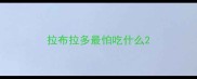 拉布拉多最怕吃什么
