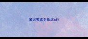 深圳哪家宠物店好