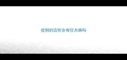 捡到的边牧会有狂犬病吗