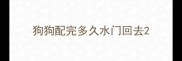 狗狗配完多久水门回去