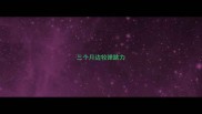三个月边牧弹跳力