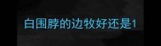 白围脖的边牧好还是
