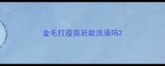 金毛打疫苗后能洗澡吗