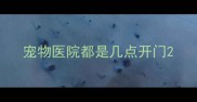 宠物医院都是几点开门