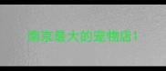 南京最大的宠物店
