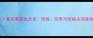 边牧喜乐蒂混血犬全性格饲养与优缺点深度指南