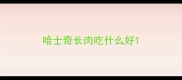 哈士奇长肉吃什么好