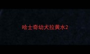 哈士奇幼犬拉黄水