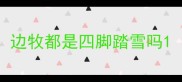 边牧都是四脚踏雪吗