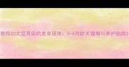 狼狗幼犬竖耳朵的发育规律3-6月龄关键期与养护指南