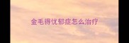 金毛得忧郁症怎么治疗