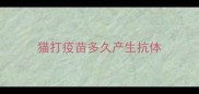 猫打疫苗多久产生抗体