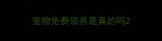 宠物免费领养是真的吗