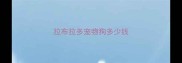 拉布拉多宠物狗多少钱
