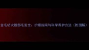 金毛幼犬腹部毛发全护理指南与科学养护方法附图解