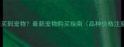 日照哪里能买到宠物最新宠物购买指南品种价格注意事项全