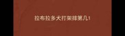 拉布拉多犬打架排第几
