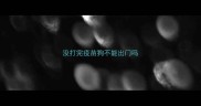 没打完疫苗狗不能出门吗