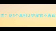 哈士奇能不能吃肥肉这5个真相让铲屎官不再踩坑附科学喂养指南