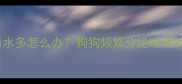 小狗吐舌头流口水多怎么办狗狗频繁分泌唾液的原因及解决方法