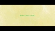 泰迪可以吃什么东西