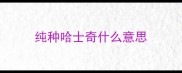 纯种哈士奇什么意思