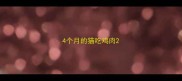 4个月的猫吃鸡肉