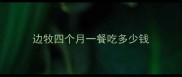 边牧四个月一餐吃多少钱