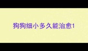 狗狗细小多久能治愈