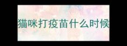 猫咪打疫苗什么时候