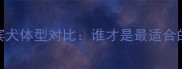 泰迪熊与贵宾犬体型对比谁才是最适合的宠物伴侣