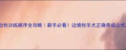 边牧训练顺序全攻略新手必看边境牧羊犬正确养成公式