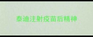 泰迪注射疫苗后精神