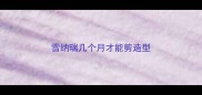 雪纳瑞几个月才能剪造型