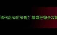 3个月大幼犬抓伤后如何处理家庭护理全攻略附图解
