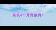 狗狗4个月做绝育