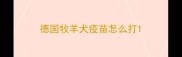 德国牧羊犬疫苗怎么打