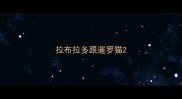 拉布拉多跟暹罗猫