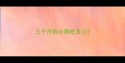 三个月的小狗吃多少