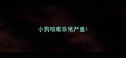 小狗咳嗽非常严重