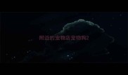 附近的宠物店宠物狗