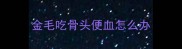 金毛吃骨头便血怎么办